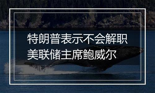 特朗普表示不会解职美联储主席鲍威尔