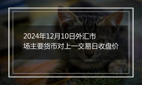 2024年12月10日外汇市场主要货币对上一交易日收盘价