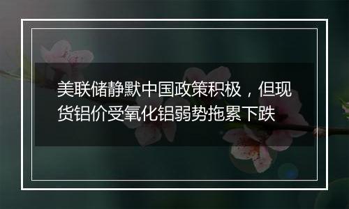 美联储静默中国政策积极，但现货铝价受氧化铝弱势拖累下跌