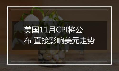 美国11月CPI将公布 直接影响美元走势