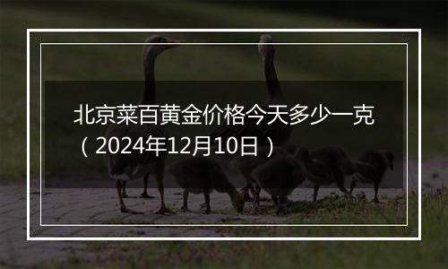 北京菜百黄金价格今天多少一克（2024年12月10日）