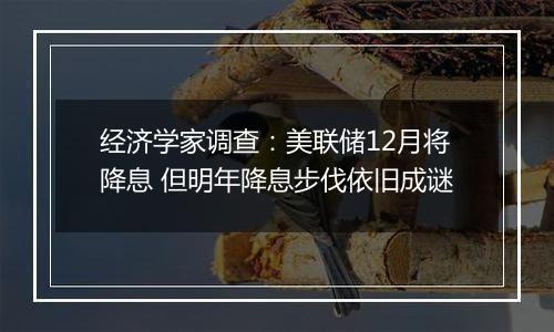 经济学家调查：美联储12月将降息 但明年降息步伐依旧成谜