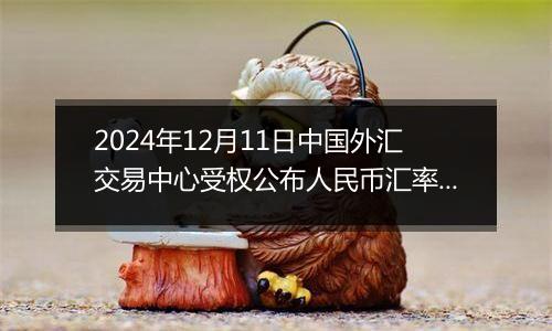 2024年12月11日中国外汇交易中心受权公布人民币汇率中间价公告