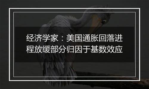 经济学家：美国通胀回落进程放缓部分归因于基数效应