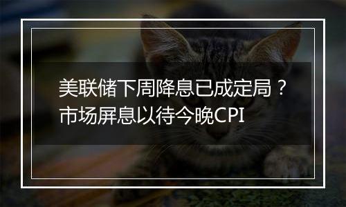 美联储下周降息已成定局？市场屏息以待今晚CPI