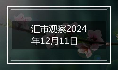 汇市观察2024年12月11日