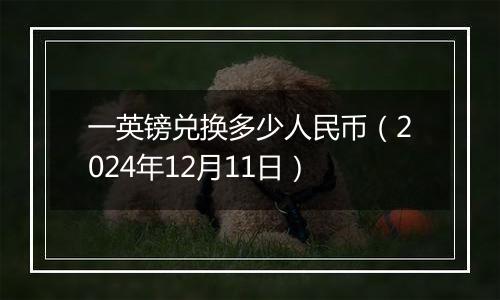 一英镑兑换多少人民币（2024年12月11日）