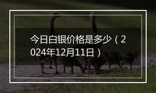 今日白银价格是多少（2024年12月11日）