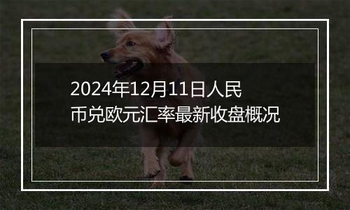 2024年12月11日人民币兑欧元汇率最新收盘概况