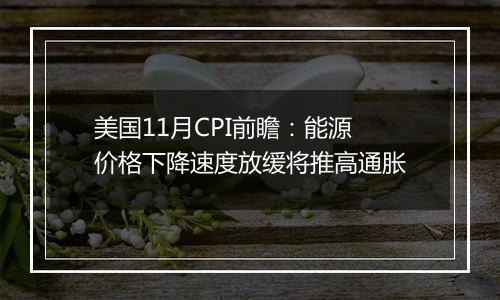 美国11月CPI前瞻：能源价格下降速度放缓将推高通胀