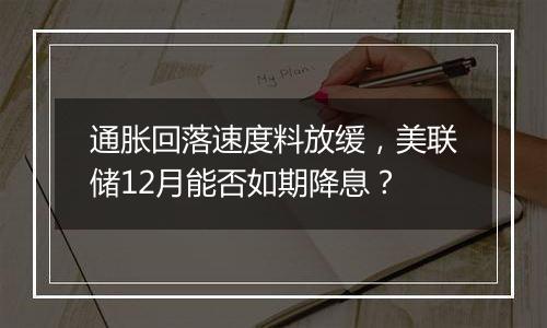 通胀回落速度料放缓，美联储12月能否如期降息？