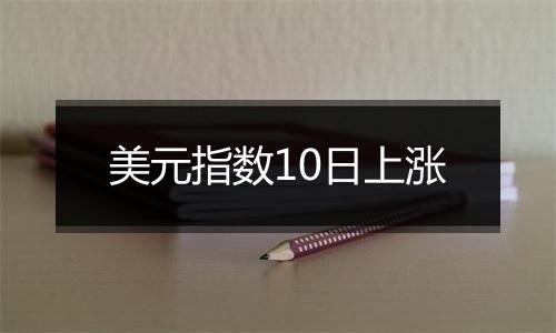 美元指数10日上涨