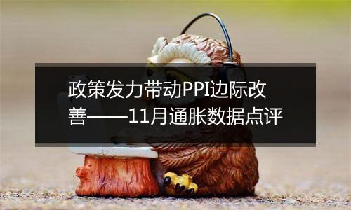 政策发力带动PPI边际改善——11月通胀数据点评