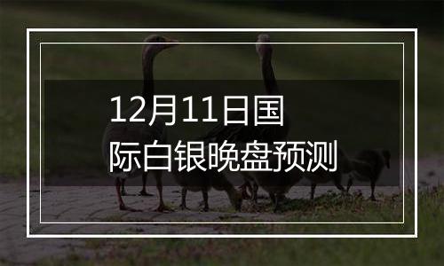 12月11日国际白银晚盘预测