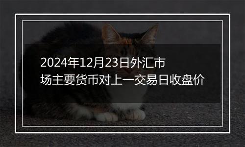 2024年12月23日外汇市场主要货币对上一交易日收盘价