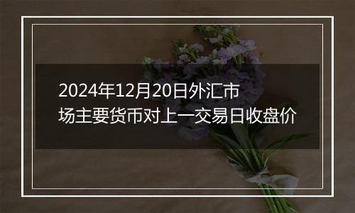 2024年12月20日外汇市场主要货币对上一交易日收盘价