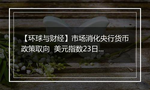 【环球与财经】市场消化央行货币政策取向  美元指数23日明显上涨