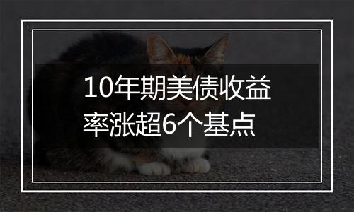 10年期美债收益率涨超6个基点