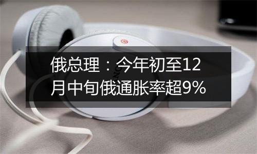 俄总理：今年初至12月中旬俄通胀率超9%