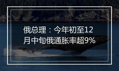 俄总理：今年初至12月中旬俄通胀率超9%