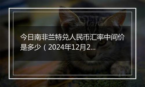 今日南非兰特兑人民币汇率中间价是多少（2024年12月25日）