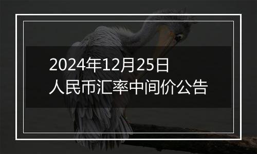 2024年12月25日人民币汇率中间价公告