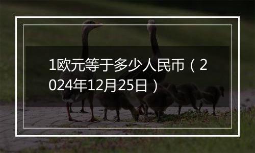 1欧元等于多少人民币（2024年12月25日）