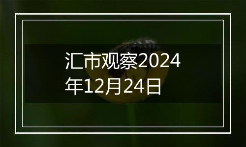 汇市观察2024年12月24日