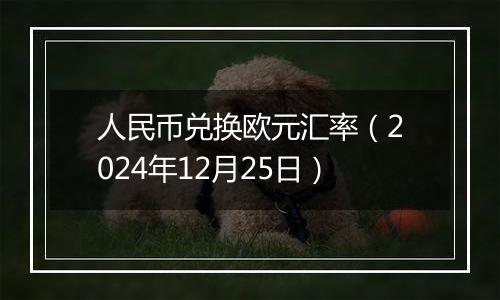 人民币兑换欧元汇率（2024年12月25日）