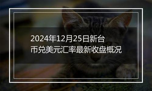 2024年12月25日新台币兑美元汇率最新收盘概况