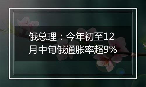 俄总理：今年初至12月中旬俄通胀率超9%