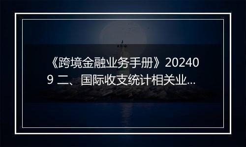 《跨境金融业务手册》202409 二、国际收支统计相关业务的办理