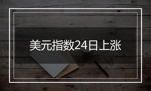 美元指数24日上涨