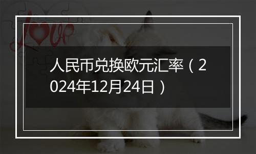 人民币兑换欧元汇率（2024年12月24日）