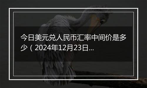 今日美元兑人民币汇率中间价是多少（2024年12月23日）