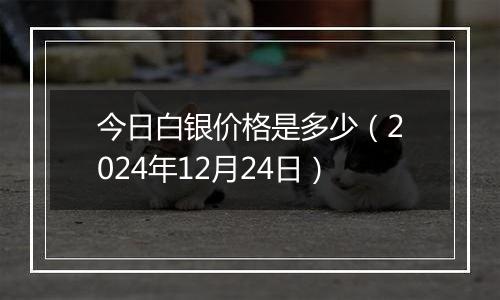 今日白银价格是多少（2024年12月24日）