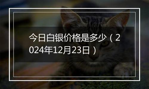 今日白银价格是多少（2024年12月23日）