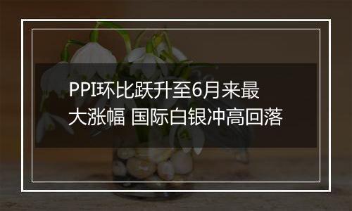 PPI环比跃升至6月来最大涨幅 国际白银冲高回落