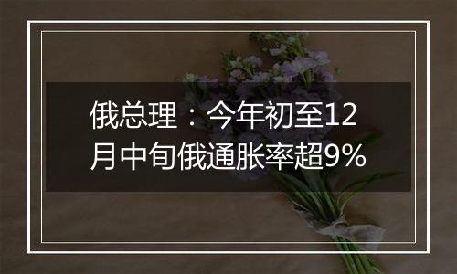 俄总理：今年初至12月中旬俄通胀率超9%