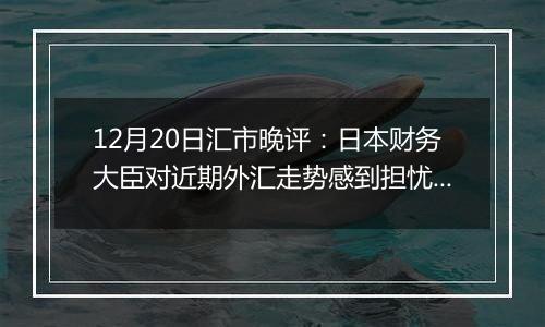 12月20日汇市晚评：日本财务大臣对近期外汇走势感到担忧 将对日元采取干预措施