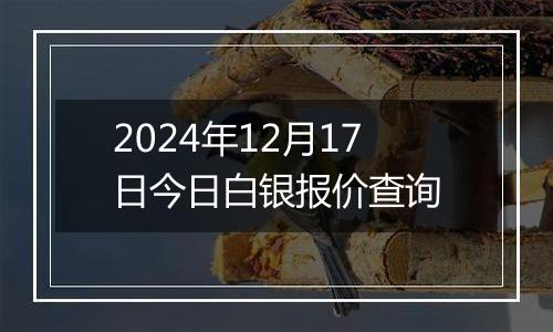 2024年12月17日今日白银报价查询