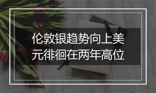 伦敦银趋势向上美元徘徊在两年高位