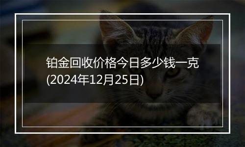 铂金回收价格今日多少钱一克(2024年12月25日)