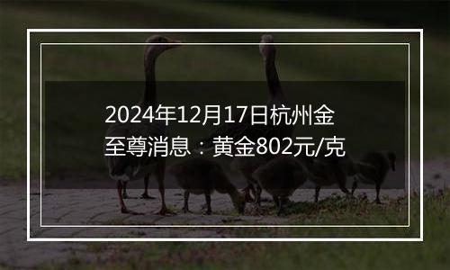 2024年12月17日杭州金至尊消息：黄金802元/克