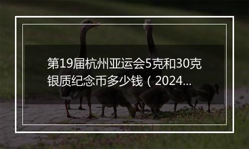 第19届杭州亚运会5克和30克银质纪念币多少钱（2024年12月24日）