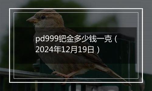 pd999钯金多少钱一克（2024年12月19日）