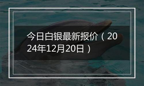 今日白银最新报价（2024年12月20日）