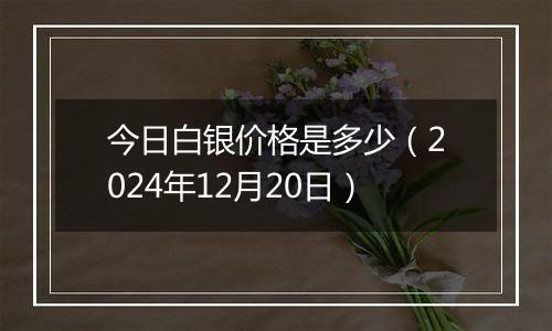 今日白银价格是多少（2024年12月20日）