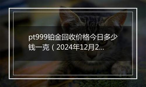 pt999铂金回收价格今日多少钱一克（2024年12月26日）