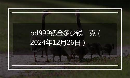 pd999钯金多少钱一克（2024年12月26日）